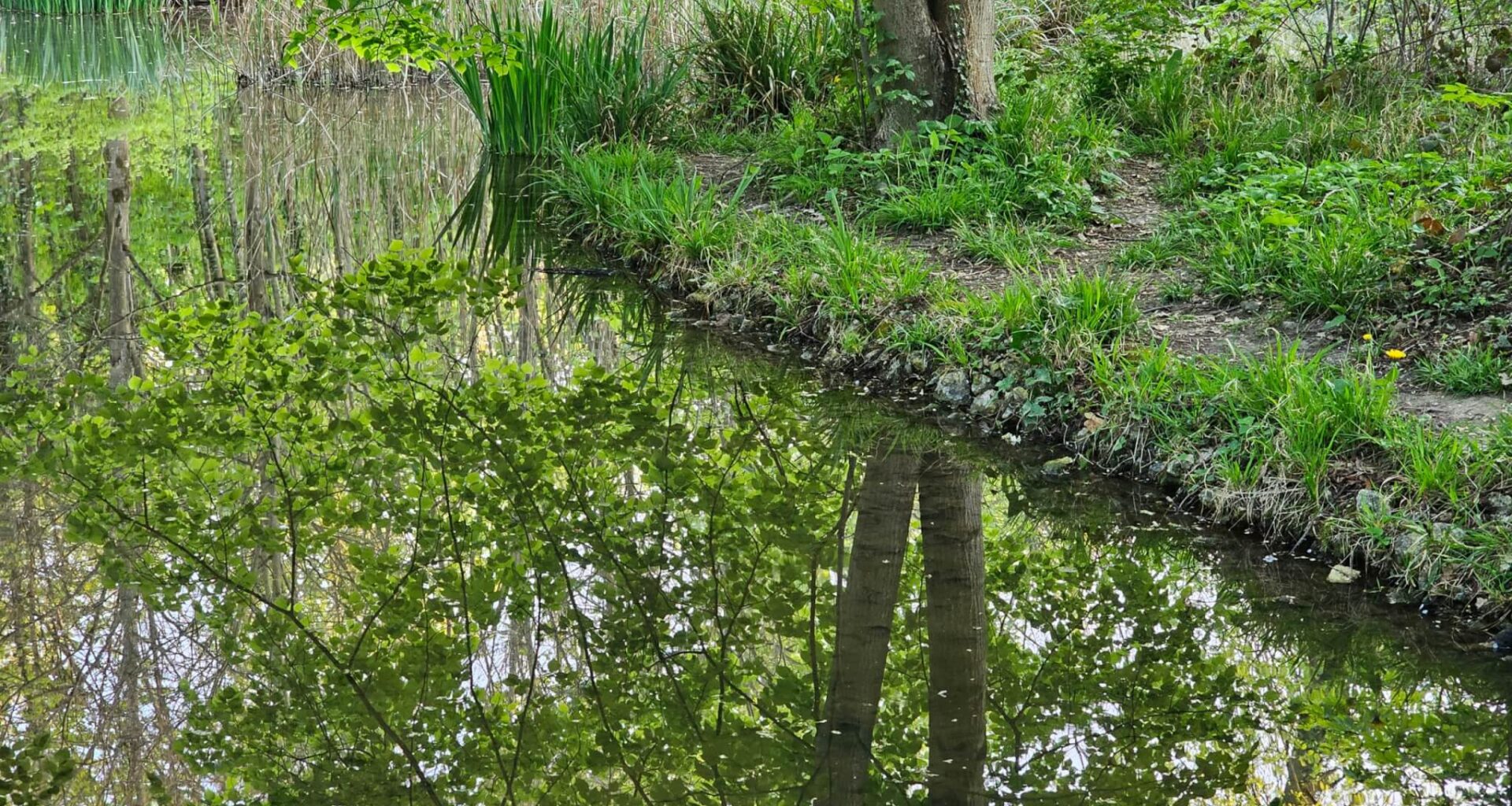 Nuits des forêts 2025 en Ile-de-France : le plein de balades et ateliers pour la nature