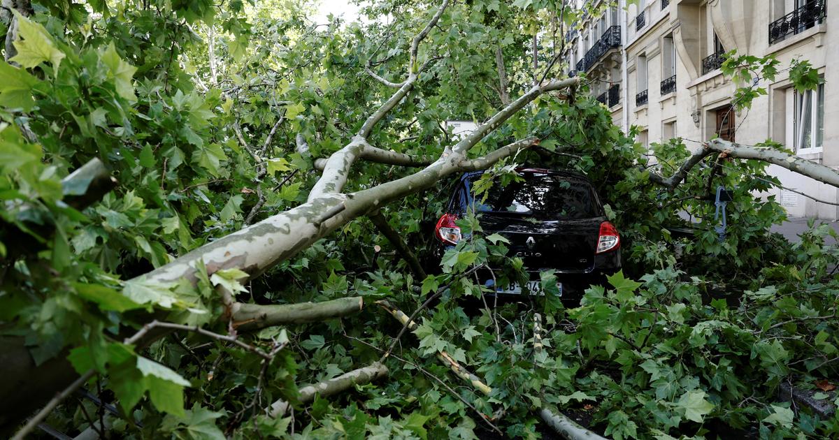 la mairie de Paris déplore «la pire tempête depuis 1999»