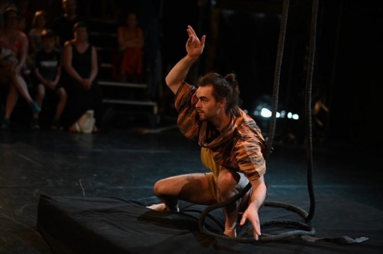 Graine de Cirque