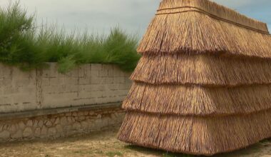 INSOLITE. Cette cabine de plage en roseau remporte un concours international d'architecture