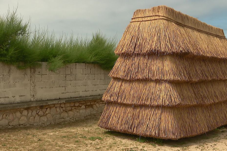 INSOLITE. Cette cabine de plage en roseau remporte un concours international d'architecture