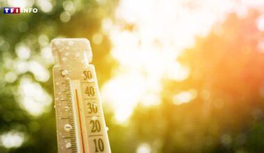 Canicule : des restrictions de circulation mises en place en Île-de-France