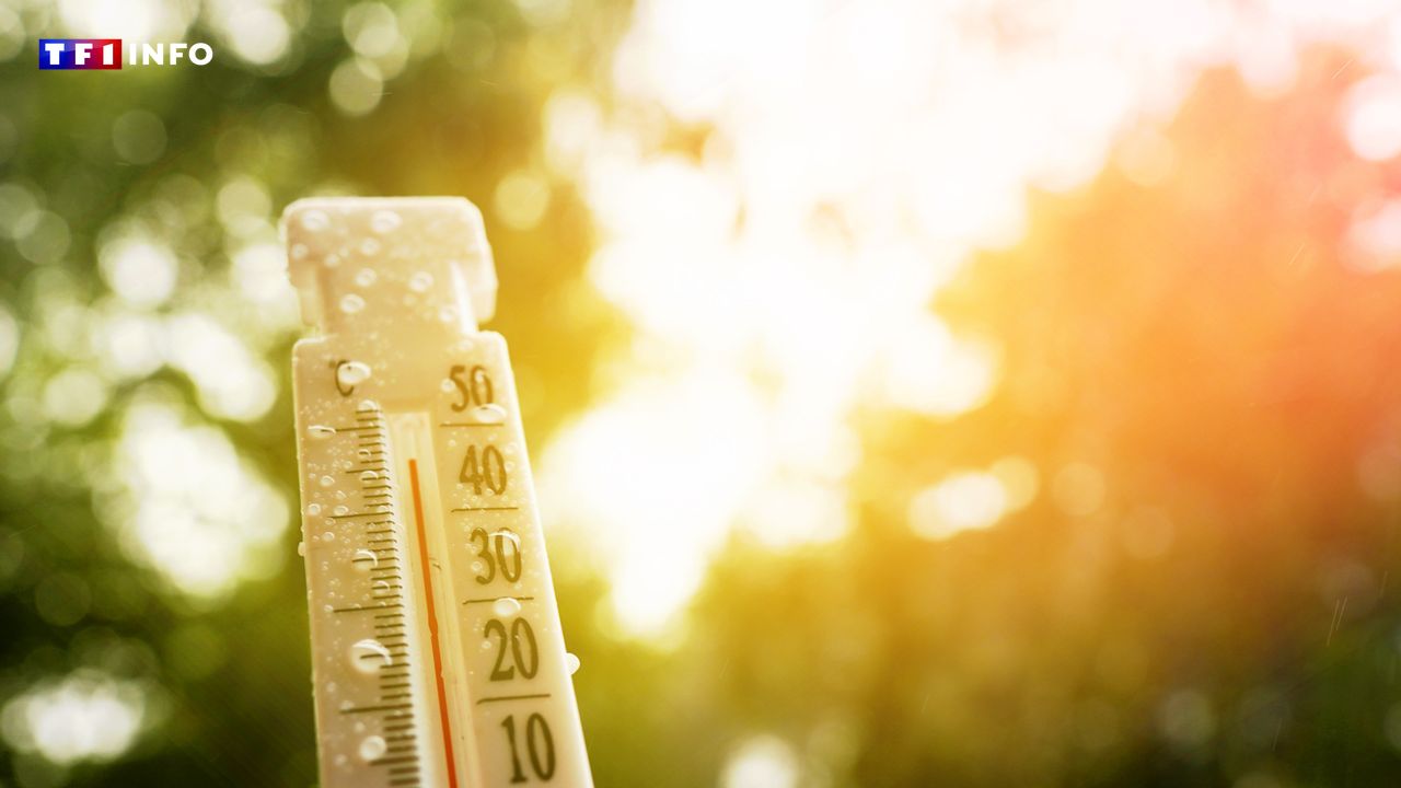 Canicule : des restrictions de circulation mises en place en Île-de-France
