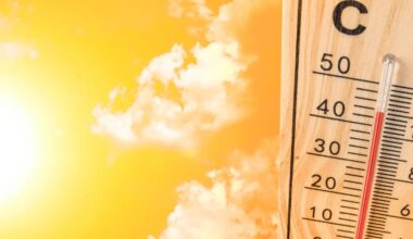 Alertes rouges canicule et pollution à l'ozone en Ile-de-France ce mardi 1er juillet