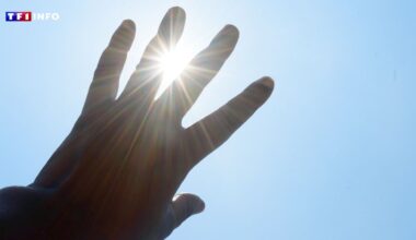 Canicule : où et quand le mercure frôlera-t-il les 40°C ?