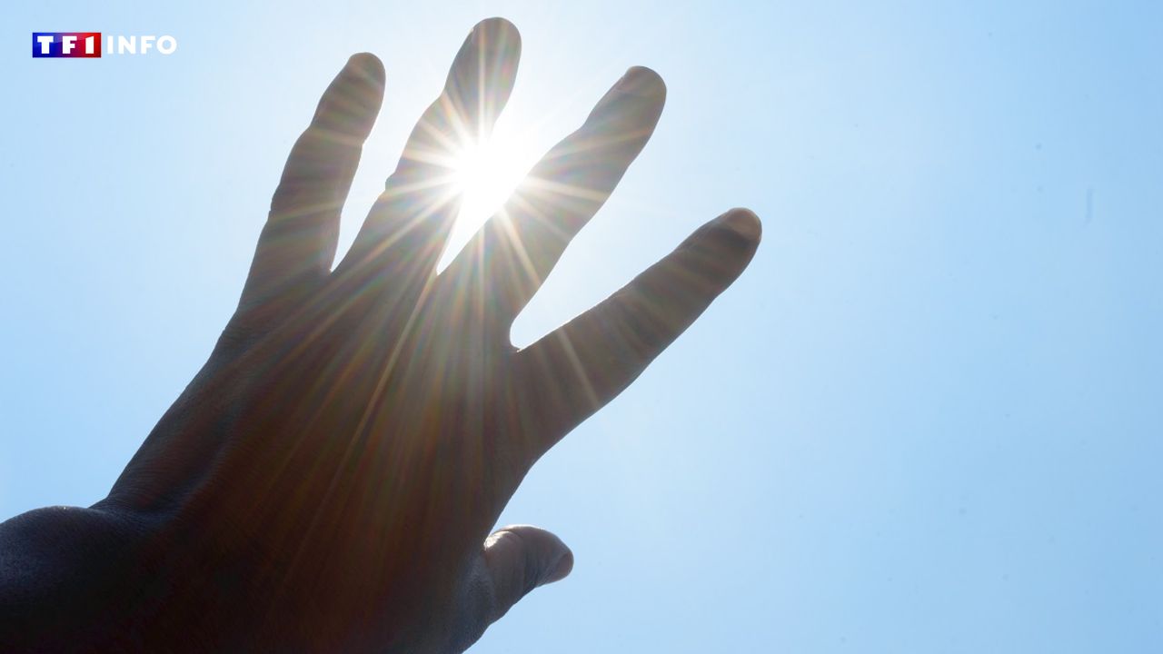 Canicule : où et quand le mercure frôlera-t-il les 40°C ?