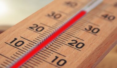 Se lécher le coude en période de canicule, est-ce encore une idée stupide ?