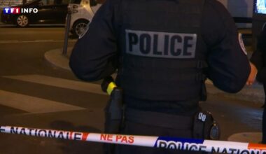 Paris : une centaine de personnes placées en garde à vue en marge de la Fête de la musique