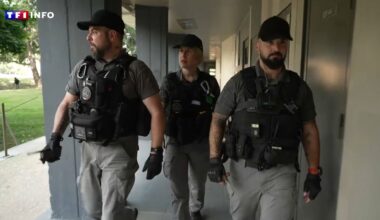 "Très rassurant" : à Toulouse, ces vigiles sollicités par des bailleurs assurent la tranquillité des habitants