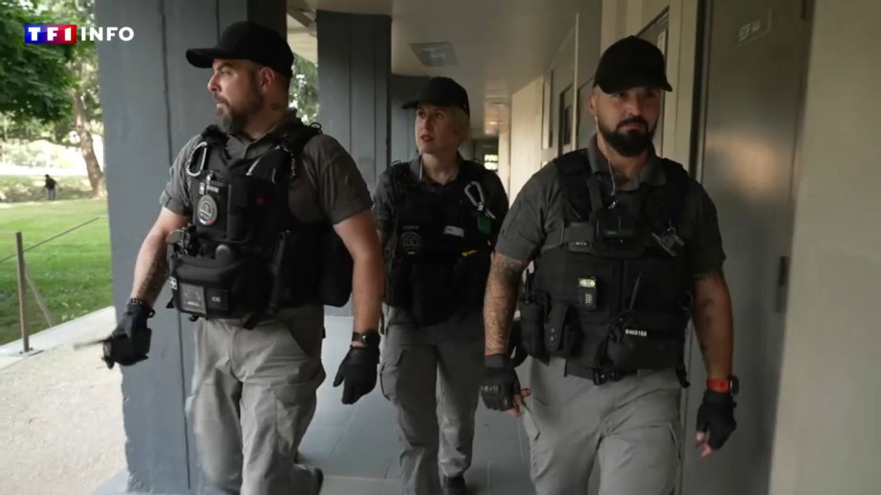 "Très rassurant" : à Toulouse, ces vigiles sollicités par des bailleurs assurent la tranquillité des habitants