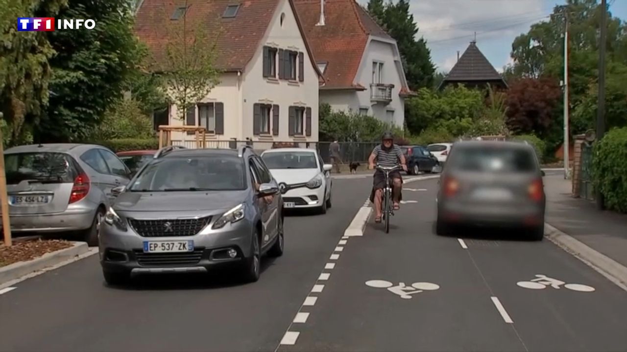 "Les gens en viennent aux mains" : la mairie de Strasbourg va revoir cette piste cyclable sous le feu des critiques