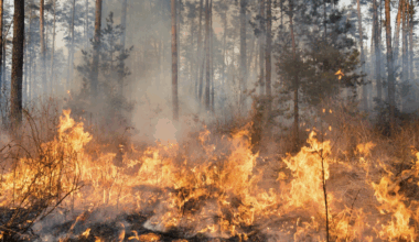 connaissez-vous les bons gestes face au risque d’incendie ?