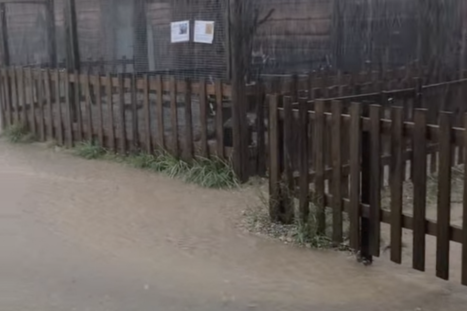 Un déluge touche ce dimanche le Safari de Peaugres au sud de Lyon, en Ardèche.