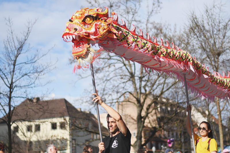 Carnaval (45) dragon