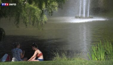 Un temps niçois à Strasbourg : le drôle de printemps français en 2025