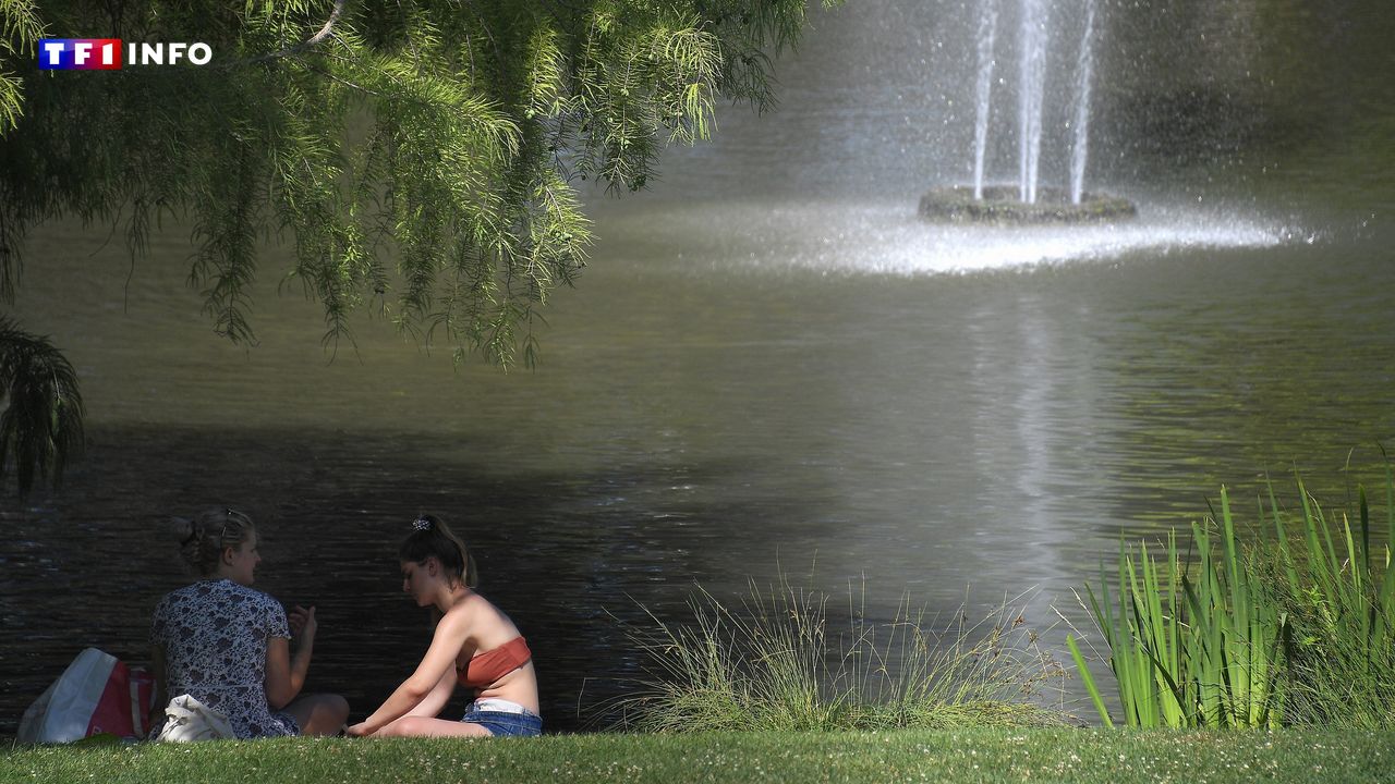 Un temps niçois à Strasbourg : le drôle de printemps français en 2025