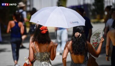 "On a même les yeux qui piquent" : les images de l'Europe qui suffoque sous la vague de chaleur