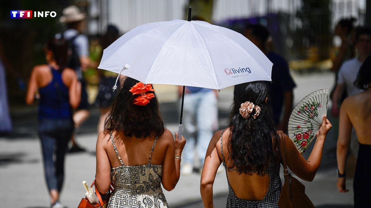 "On a même les yeux qui piquent" : les images de l'Europe qui suffoque sous la vague de chaleur