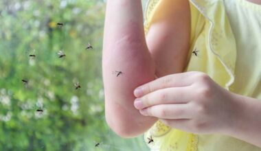 10 solutions simples pour les tenir hors de chez vous cet été