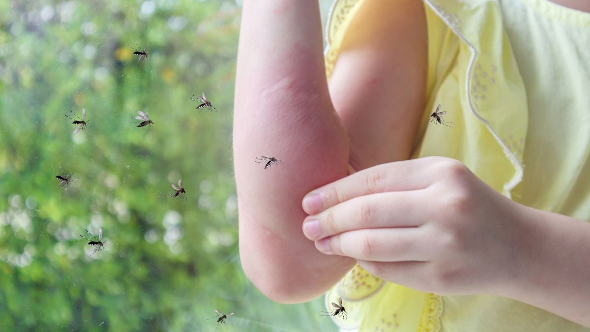 10 solutions simples pour les tenir hors de chez vous cet été