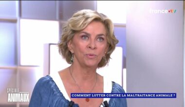 Corinne Touzet en deuil : elle pleure la disparition d’un être cher et bouleverse le plateau de C l’hebdo