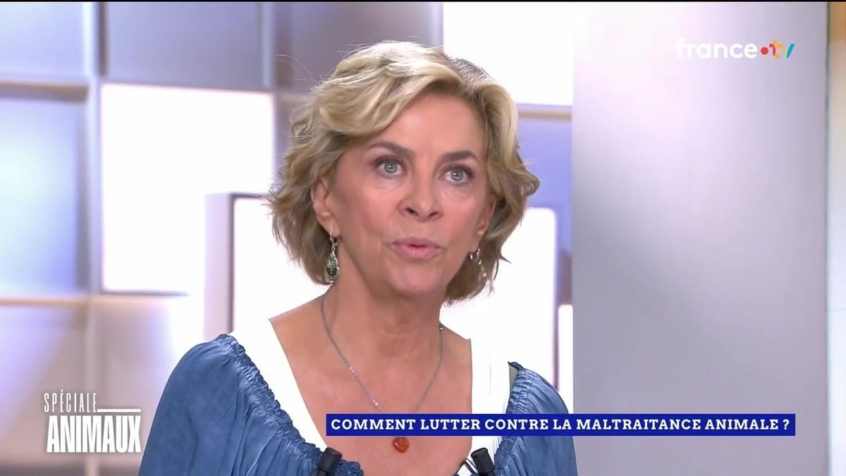 Corinne Touzet en deuil : elle pleure la disparition d’un être cher et bouleverse le plateau de C l’hebdo