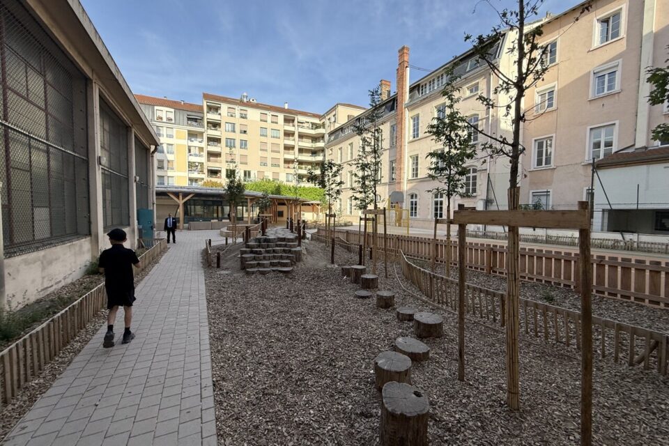 Une cour d'école végétalisée dans le 6e arrondissement de Lyon.