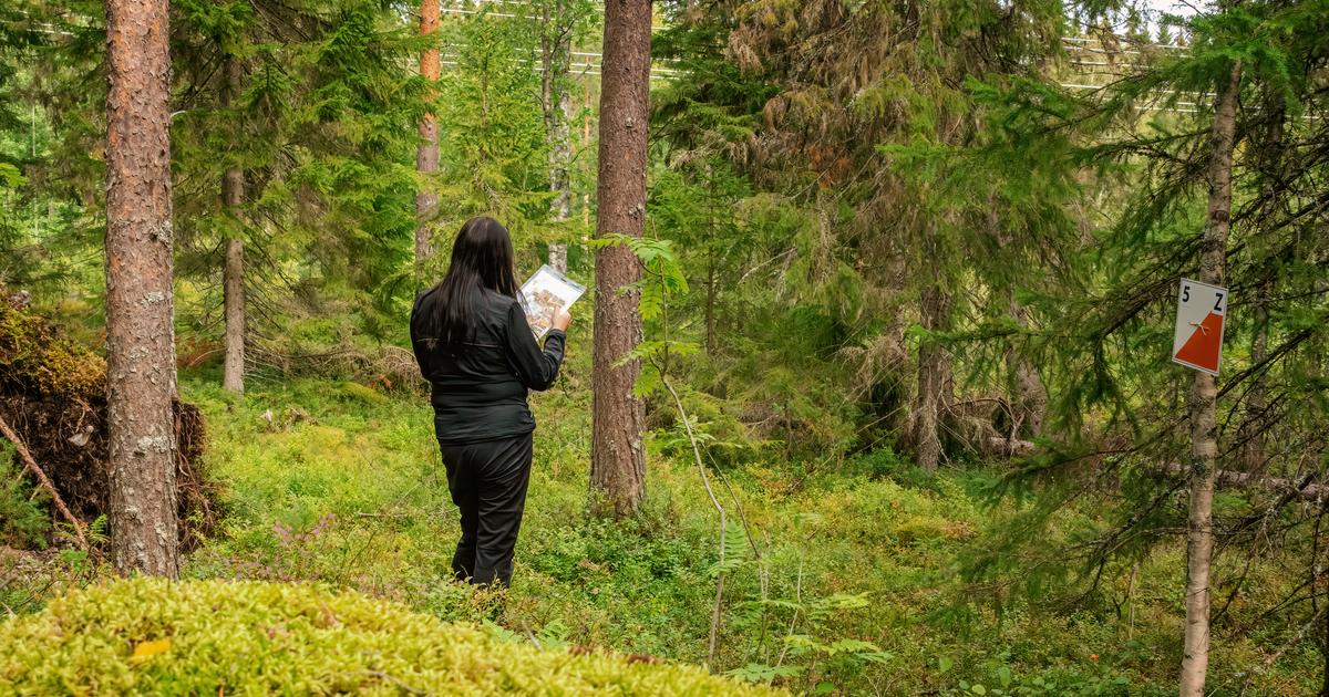 en pleine course d’orientation, deux lycéennes découvrent un morceau de crâne humain