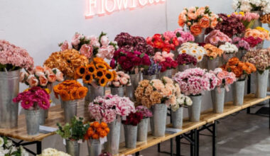 Fleurs séchées, bouquets, vases... Un temple de la déco poétique débarque à Villeneuve-d'Ascq