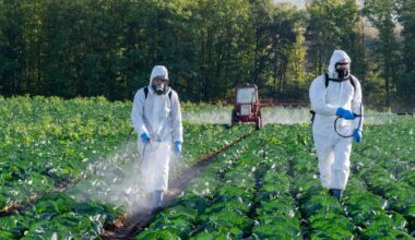 Députés et sénateurs trouvent un compromis sur la loi Duplomb, incluant la réintroduction d’un pesticide