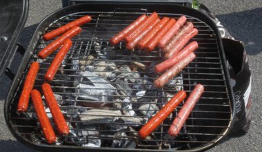 Additifs, sucre, os broyés : ce que cachent vos merguez et saucisses préférées
