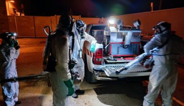 Des chiffres records de maladies tropicales autour de Toulouse, le moustique tigre sous haute surveillance
