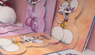 Grenoble. Une marque iconique des années 2000 en vente uniquement dans cette boutique