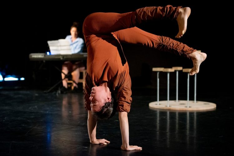 Graine de cirque