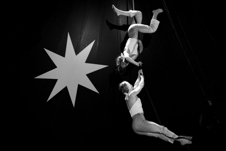 Graine de cirque