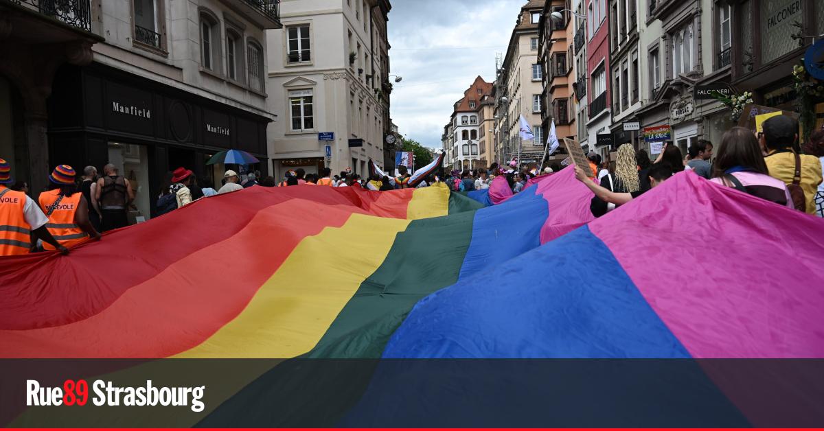 Strasbourg. Une marche des fiertés antifasciste décidée en collectif