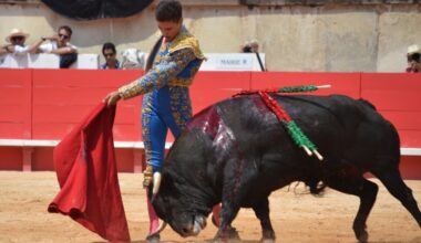 Victor, El Mene et Julio Norte pour la Romería de Mauguio