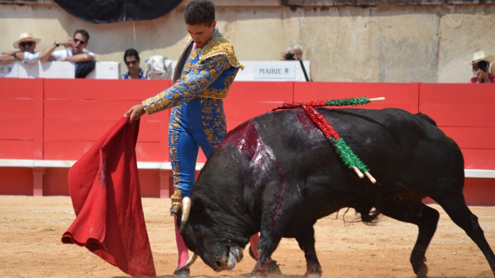 Victor, El Mene et Julio Norte pour la Romería de Mauguio