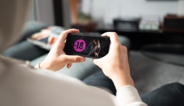 l’Arcom met en garde cinq sites pornographiques, avant un éventuel blocage