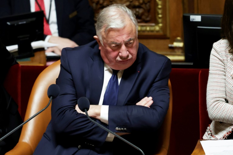 Le président du Sénat Gérard Larcher lors d