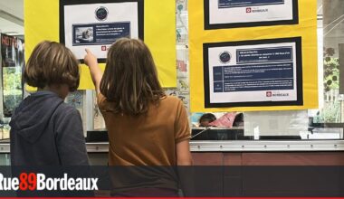 Des questions-réponses éveillent les écoliers bordelais aux pièges de la désinformation
