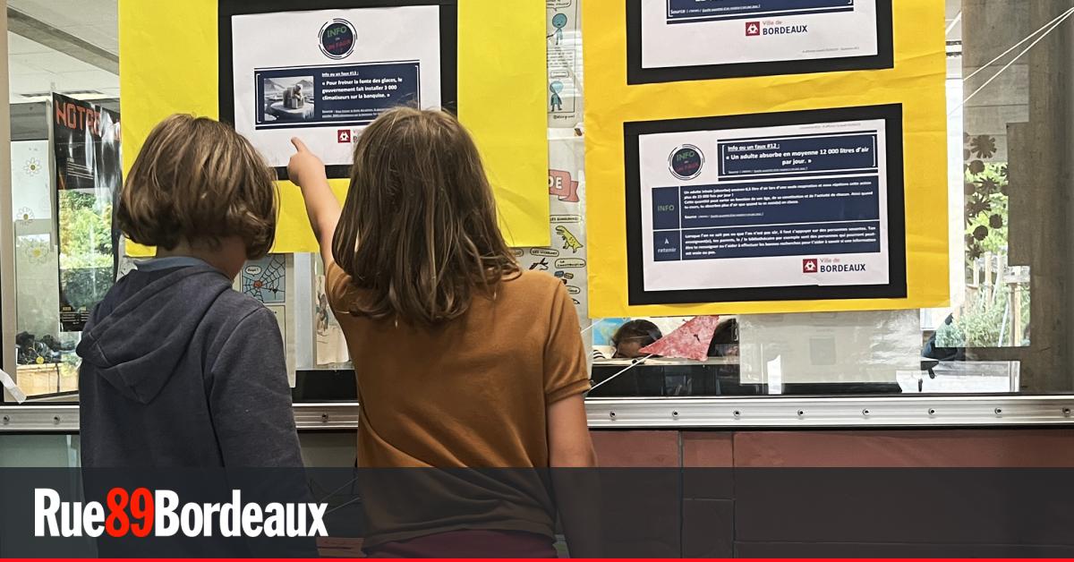 Des questions-réponses éveillent les écoliers bordelais aux pièges de la désinformation