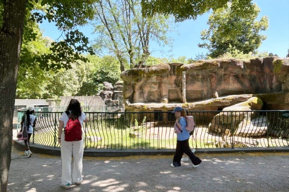 La fosse aux ours de l'espace animalier du parc de la Pépinière va être transformé pour accueillir d'autres animaux.