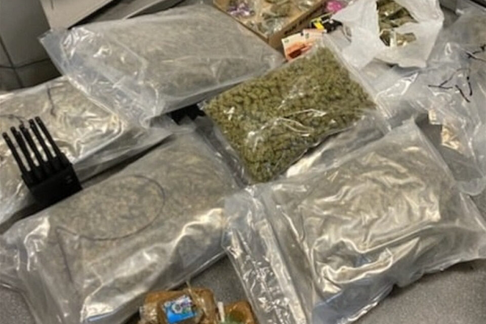 Les policiers ont saisi 11 kg de cannabis, 13 gr de cocaïne, 740 € en espèces, ainsi que deux chargeurs d’arme à feu.