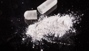 comment les policiers ont démantelé une organisation internationale de narcotrafiquants