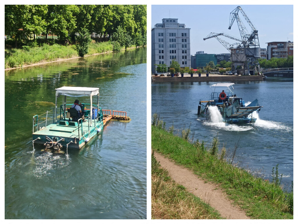 VIDEO. C'est quoi ces drôles de bateaux aperçus dernièrement à Strasbourg ?