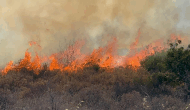 Incendie près de Nice. Les images impressionnantes des flammes qui ravagent la végétation