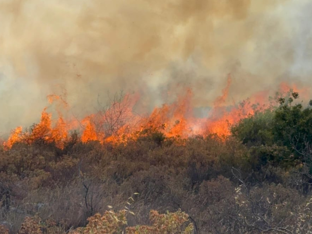Incendie près de Nice. Les images impressionnantes des flammes qui ravagent la végétation