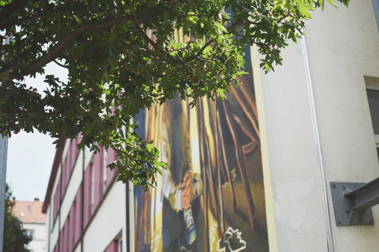Fresque Apaiz collège Vauban street art (35)