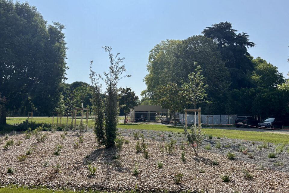 40 000 arbres, arbustes et fleurs ont été plantés en un an pour le parc de l'île du Ramier.
